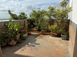 The Parc Condominium (D5), Condominium #453674491